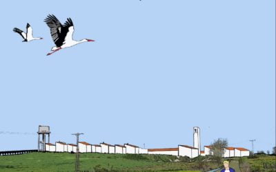 Pueblos de colonización: Un Lugar de luz.