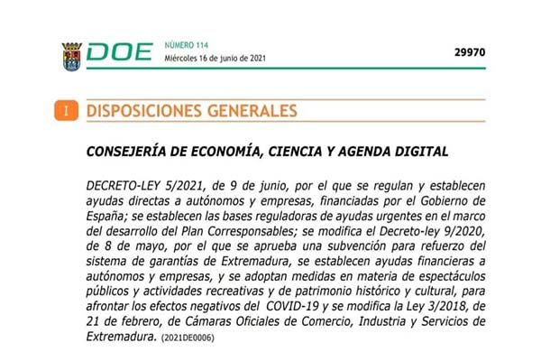 Convocatoria de ayudas directas a autónomos y empresas afectados por la covid-19 dirigidas a reducir el endeudamiento