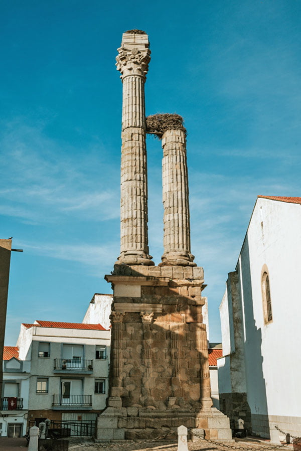 Distylo Romano Distylo Romano
