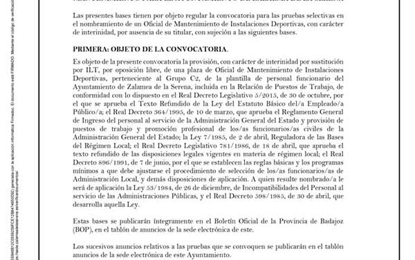 BASES POR LAS QUE SE REGIRÁ LA CONVOCATORIA PARA LA PROVISIÓN, CON CARACTER DE INTERINIDAD, DE UNA PLAZA DE OFICIAL DE MANTENIMIENTO PARA EL AYUNTAMIENTO DE ZALAEMA DE LA SERENA