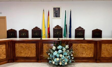 INFORMACIÓN PLENO ORDINARIO – NOVIEMBRE 2025