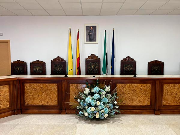 INFORMACIÓN PLENO ORDINARIO – NOVIEMBRE 2025